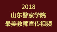 2018山东警察学院最...